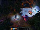 Divinity: Original Sin Divinity: Original Sin