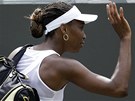 SBOHEM! Venus WIlliamsov� se lou�� s wimbledonskou dvouhrou.