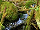 Z okoln�ch svah� p�it�k� do Kamenice nespo�et mal�ch pot��k�. Mnoh� z nich