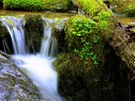 Z okoln�ch svah� p�it�k� do Kamenice nespo�et mal�ch pot��k�. Mnoh� z nich