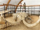N�v�t�vn�ci si prohl�ej� ji� odkrytou mamut� kostru (27. �ervna 2012)