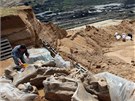 Archeologové kompletují nově nalezené kosti v uhelném dolu v srbském Kostolači Archeologové kompletují nově nalezené kosti v uhelném dolu v srbském Kostolači