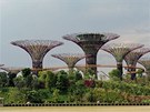 Zahrady dostaly název Supertrees (Super stromy) a stojí ve �tvrti Bay v hlavním...