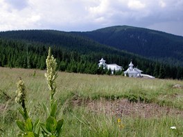 Mu�sk� kl�ter pod vrchem Cerbul