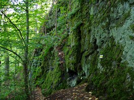 P��stupov� turistick� cesta u Skalek sk��tk� kon��.