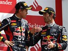 ZVLÁDLI JSME TO DOBŘE. Jezdi Red Bullu Sebastian Vettel (vlevo) a Mark Webber ZVLÁDLI JSME TO DOBŘE. Jezdi Red Bullu Sebastian Vettel (vlevo) a Mark Webber