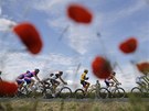 cyklistick� peloton v pr�b�hu 5. etapy Tour de France