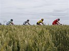 cyklistick� peloton v pr�b�hu 5. etapy Tour de France