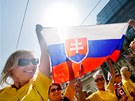 Za�al 15. v�esokolský slet (1. �ervence 2012, Praha).