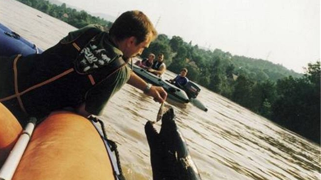 Lachtan Gaston a povodně 2002 Lachtan Gaston a povodně 2002