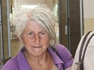 Z ma�en� v�konu ��edn�ho rozhodnut� a vyk�z�n� je ob�alovan� osmadvacetilet�