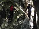 Mal� skok p�i canyoningu za m�ste�kem Claut na severu It�lie 