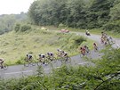 cyklistick� peloton v pr�b�hu 17. etapy Tour de France