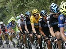 cyklistick� peloton v pr�b�hu 17. etapy Tour de France