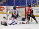 Momentka z utkání mistrovství světa organizace FIRS v in-line hokeji mezi Momentka z utkání mistrovství světa organizace FIRS v in-line hokeji mezi
