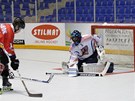 Situace před českou brankou v utkání mistrovství světa organizace FIRS v Situace před českou brankou v utkání mistrovství světa organizace FIRS v