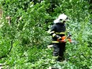 V Libereckém kraji lámal silný vítr stromy. Hasiči museli zprůjezdnit několik V Libereckém kraji lámal silný vítr stromy. Hasiči museli zprůjezdnit několik