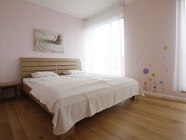 Velká okna v pasivních domech dodávající dostatek světla a slunečného svitu, Velká okna v pasivních domech dodávající dostatek světla a slunečného svitu,