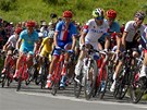 Roman Kreuziger (šestý zprava) při stoupání na Box Hill v závodě s hromadným Roman Kreuziger (šestý zprava) při stoupání na Box Hill v závodě s hromadným