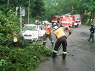 Bou�ka v Libereck�m kraji povalila strom na auta.