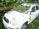 Bou�ka v Libereck�m kraji povalila strom na auta.