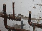 Vep��n v Choustn�kov� Hradi�ti, kter� se stal ter�em zlod�j� kov�. 