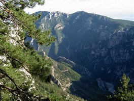 Ve stínu jehličnanů. Borovice dávají bělobě skal zelenou vrstvu. Ve stínu jehličnanů. Borovice dávají bělobě skal zelenou vrstvu.