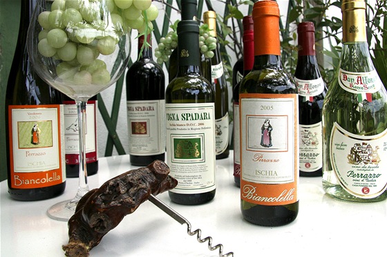 Vyznat se v italsk�ch v�nech je pom�rn� slo�it�, zdej�� vina�i produkuj�