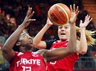 Basketbalov� utk�n� �esko - Turecko (30. �ervence 2012)