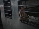 Mu� odpo��v� v odstaven�m vlaku na n�dra�� v Dill�, kter� se zastavil kv�li