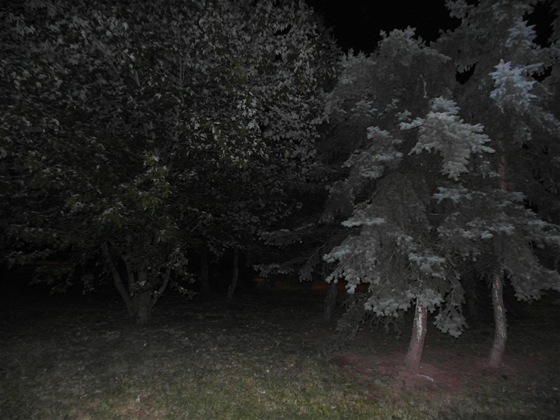 Jak ze z�hady Blair Witch. No�n� fotka Samsungu.