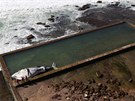 Deset metr� dlouhou mrtvou velrybu vyhodilo mo�e v noci na st�edu do plaveckého...