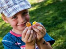 T�bor pro d�ti s hemofili�.