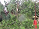 Ni�iv� v�kendov� bou�ka v Bavorov� por�ela statn� stromy.