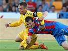 SOUBOJ AŽ NA ZEM. Jihlavský Tecl se přetlačuje s plzeňským Daridou (vpravo). SOUBOJ AŽ NA ZEM. Jihlavský Tecl se přetlačuje s plzeňským Daridou (vpravo).