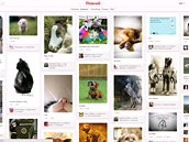 Kategorie: Zvířátka (Pinterest.com) Kategorie: Zvířátka (Pinterest.com)