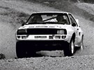 Test rallyspeciálů Audi na polygonu v Dešné. Test rallyspeciálů Audi na polygonu v Dešné.
