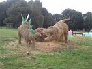 Slamák kon�í na konci srpna. B�hem zá�í se sochy postupn� rozeberou.