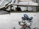 Aviatická show v Hradci Králové, kam se slet�ly slavné letouny Antonov An-2...
