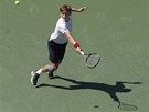 SNAHA. Belgi�an David Goffin bojoval v prvn�m kole US Open s Tom�em Berdychem.