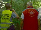 Zmaten� cizinka ze st�echy sko�ila do koruny strom�, kde vy�plhala na jeho