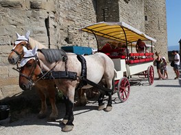 Mezi dvoj�m p�sem vysok�ch hradeb se m��ete sv�zt "ko��rem".