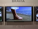 Sony u� letos do �eska p�iveze 84palcovou UD OLED televizi.