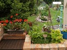 V letn� kuchyni jsou �erstv� bylinky kdykoliv p�kn� po ruce.