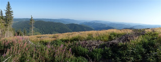 Sony RX-100: panorama