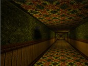 the corridor the corridor