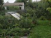 Užitková část zahrady dokazuje, že Dana Hanušová je i zdatná pěstitelka ovoce a Užitková část zahrady dokazuje, že Dana Hanušová je i zdatná pěstitelka ovoce a