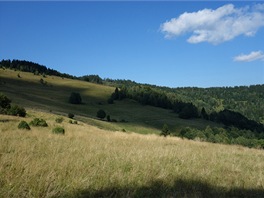 Sony RX-100: krajina