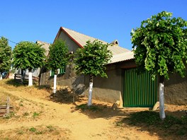 Rovensko