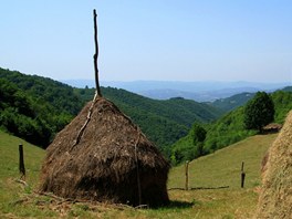Seno se na louk�ch su�� stejn� jako v cel�m Rumunsku. Oborohy stoj� na mnoha